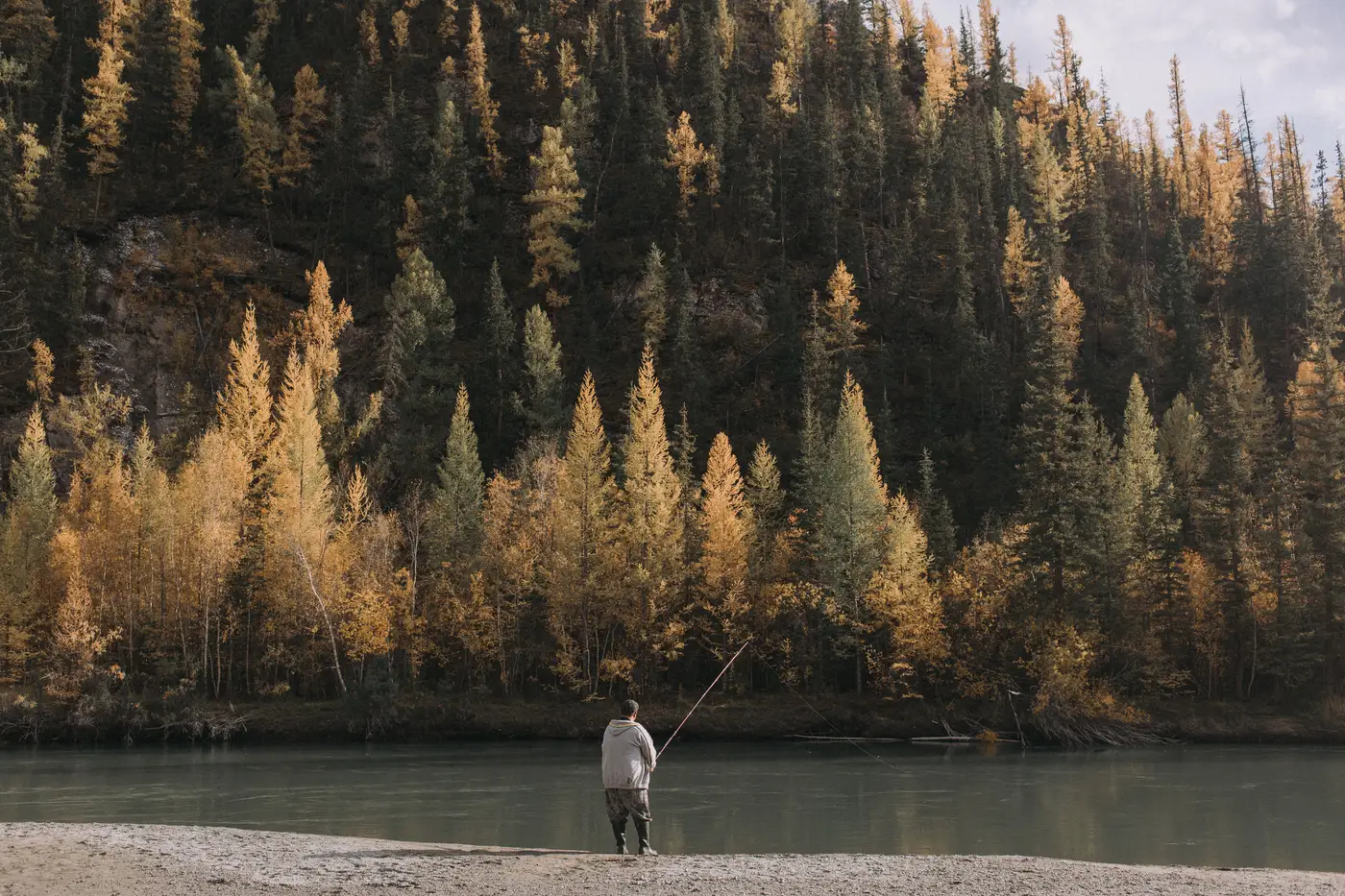 Angler fishing a northern salmon river in autumn