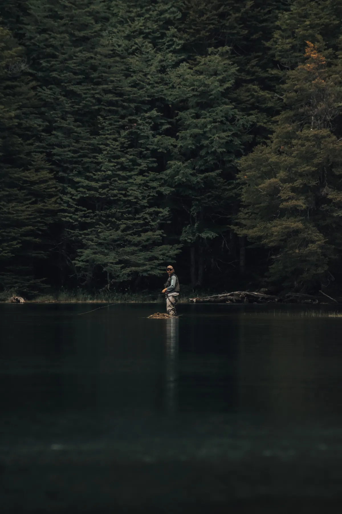 Angler wading a dark forest river at first light